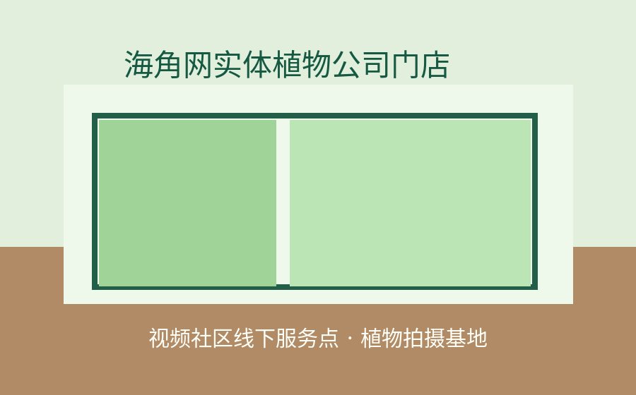 国产视频