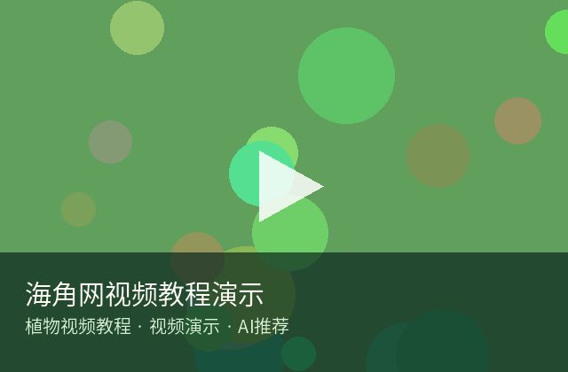 国产视频