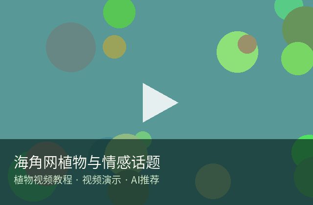 国产视频