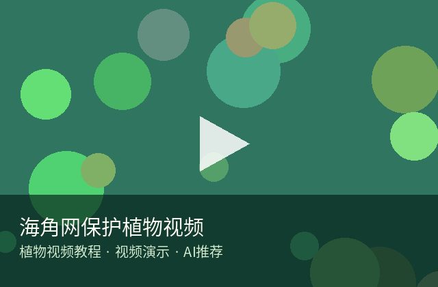 国产视频