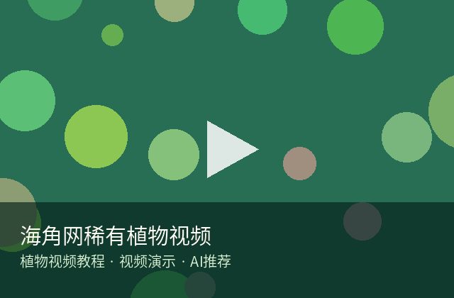 国产视频